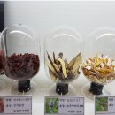 바로봄한의원 네이버블로그