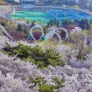 이월드 Daum카페