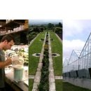 [호주유학/호주전문대학]Diploma of Horticulture(조경) at TAFE NSW 이미지