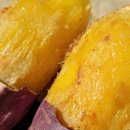 해남농장 이미지