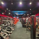 라이언 휘트니스 이미지