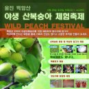 백암온천마을영농조합법인 이미지