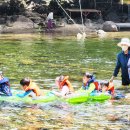 화개초왕성분교 이미지