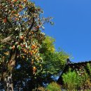 하평농장 이미지