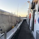 쇠소깍로 | 제주도여행코스 체험배낚시 광명호 초보자도 지깅낚시 체험후기