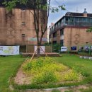 배다리사랑나눔터 이미지