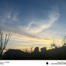 이서 | 경상북도 청도군 랩에쏘 갤러리 이서 카페 방문 후기