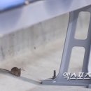 계양농업협동조합 이미지