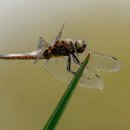 일자리지원센터 이미지