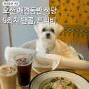 오산 애견동반 식당 트리비, 5회차 단골 방문 후기