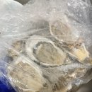 파티쉘의집 | 바위굴 하프쉘 6개 3kg 내돈내산, 먹방 보고 궁금했으면 이 후기 보고 가셈 (크림 미쳤는데 반전 있음)