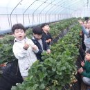 풍천풍서초등학교 이미지