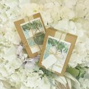 유영진농장 이미지