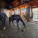 설산약국 | 운남성 자유여행 | 옥룡설산과 리장, 세계유산 리장고성, 그림같은 경치 (丽江古城)