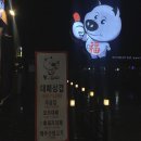 복받은돼지