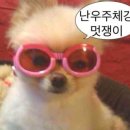 사파동296 | (ex. 오빠가~) 언니가 이번 주에 뭐 많이 했는데 볼래?