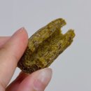 (주)우리덴탈 | 퍼센트퍼센트에너지덴탈츄 강아지덴탈껌 - 100% 비건이라 더 마음이 놓여