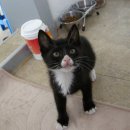 괴정4동-1 이미지