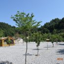 가평 썬 캠핑장 이미지