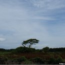 용수마을회관 이미지