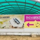 온양4동 실옥로 | 3월 아산가볼만한곳 아산그린타워&amp;생태곤충원 후기