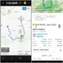 솔향기 쉼터 | 2026년 강화도 고려산 진달래 축제 화려하고 이쁘드라,!!