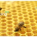 지리산장펜션 이미지