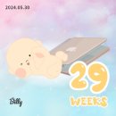 공임나라태전점 | [임신일기] 임신 8개월 진입 28-29주차 베이비파스텔분당 만삭촬영