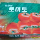 여주-0880 Daum카페