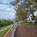 박순남공인중개사사무소 이미지