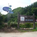 평창수림대펜션 이미지