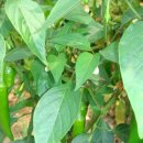 봉동지역아동센터 이미지