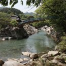 고향나들이 이미지