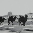 생활문화로 본 일본인의 삶 이미지