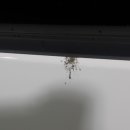 화인 셀프세차 이미지