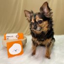 (주)헬로마이펫 이미지