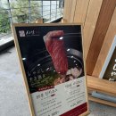 샤브20 이미지