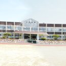 서상초등학교 이미지