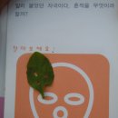 도토리소풍 이미지