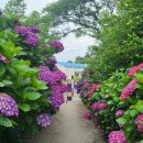 동광리-2 이미지