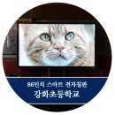 강화초등학교 이미지