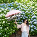 가나제주여행사 | 5월 제주 가족여행 숙소 제주도 항공권 비행기표 예약 현실 가격