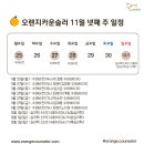 오렌지스터디 이미지
