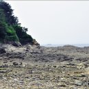 사구해수욕장2 이미지