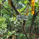 지장마을회관 이미지