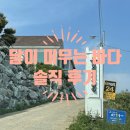 창기초등학교 | 태안 안면도 달이머무는바다 펜션 #내돈내산 #솔직후기
