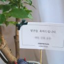 좌동순환로 34 이미지