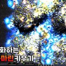 하이브마린2