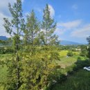 속초수미산모텔 이미지