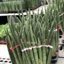 형아농장 이미지